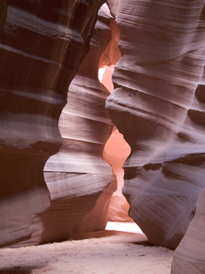 Click here to view the gallery